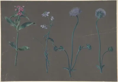 Study of Three Flowers