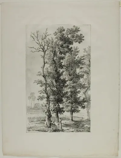 Study of Trees