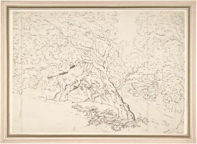 Study of trees
