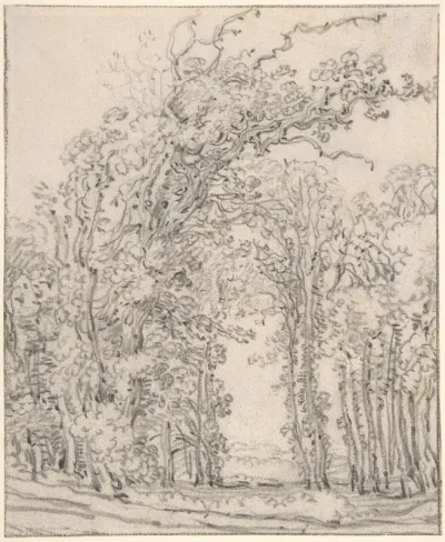Study of Trees