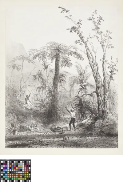 Study of trees