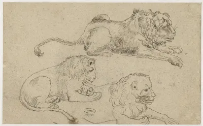 Study Sheet with Three Lions