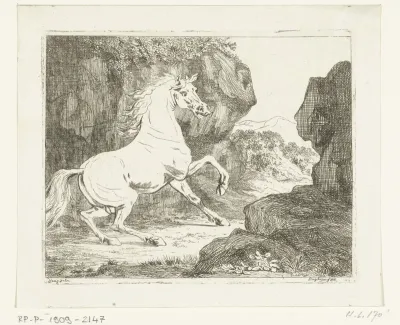 Stuiterende witte hengst