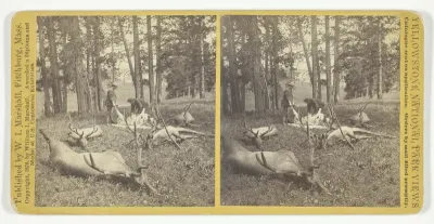 Successful Hunters dressing Elk, No. 56 from the series "Yellowstone National Park Views"