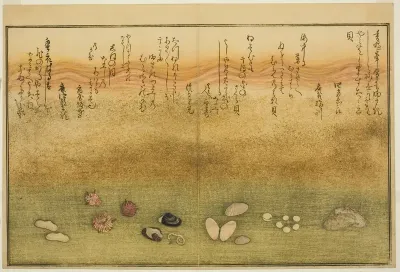 Sudare-gai, hana-gai, sakura-gai, mumeno-gai, nadeshiko-gai, and kinuta-gai, from the illustrated book "Gifts from the Ebb Tide (Shiohi no tsuto)"