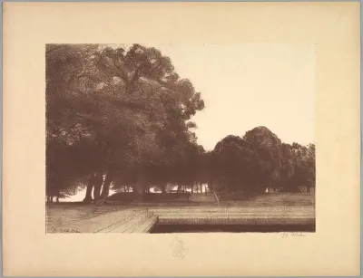 Suite de Paysages: Landscape, Plate 7, Remarque, Poppies
