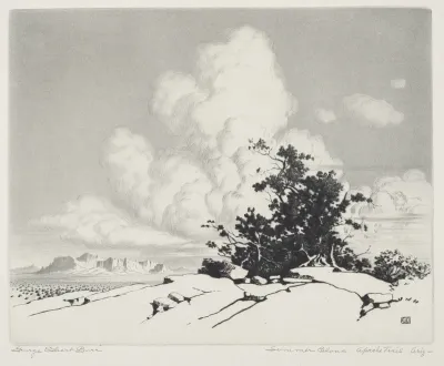 Summer Cloud, Apache Trail, Arizona
