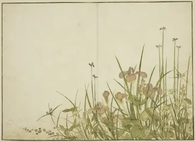 Summer Flowers: Irises and Water Plantains, from the book "Mirror of Beautiful Women of the Pleasure Quarters (Seiro bijin awase sugata kagami)," vol. 1