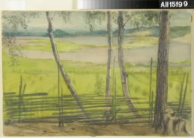 Summer Landscape