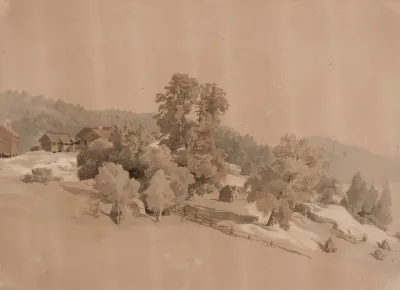 Summer Landscape