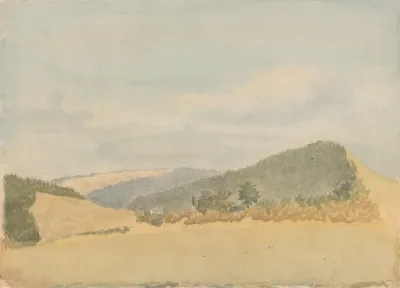 Summer Landscape