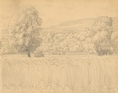 Summer Landscape