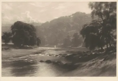 Summer Morning