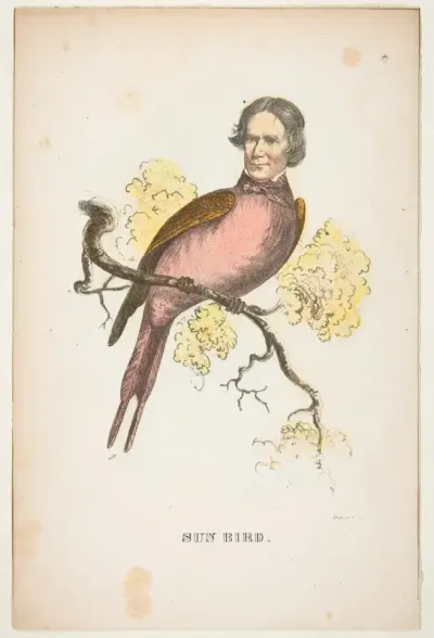 Sun Bird (James S. Wallace), from "The Comic Natural History of the Human Race"