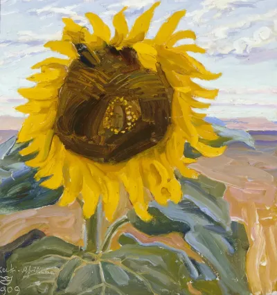 Sunflower at the Nairobi Savannah