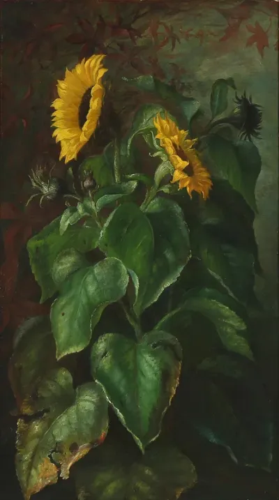Sunflowers.