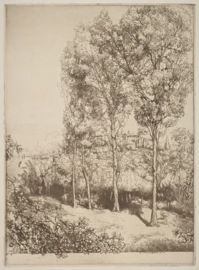 Sunlight and Shadows, No. 3