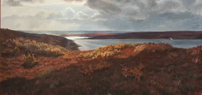 Sunny spells over the plantation at Hjarl heath in October.