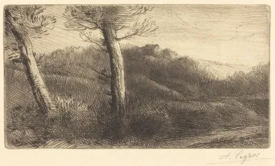 Sunset (Coucher du soleil)