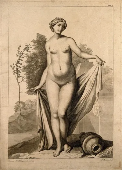 Superficial anatomy of the woman: anterior view