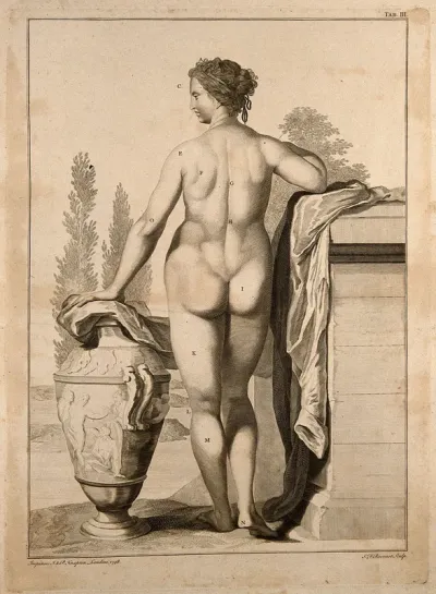 Superficial anatomy of the woman: posterior view