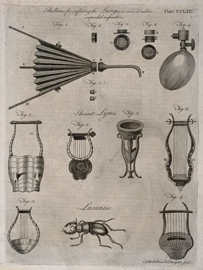 Surgical instruments, including bellows for inflating the lungs