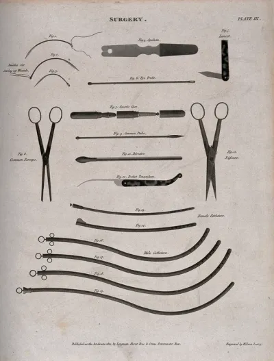 Surgical instruments, including scalpels and catheters