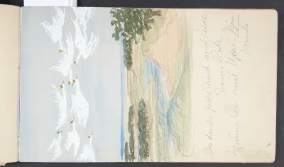 Svaner i flugt. "Den danske friske Strand med vilde svaners Rede"