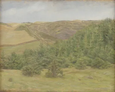 Svanninge Hills, Funen