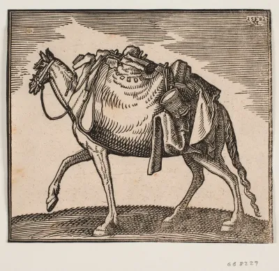 Svært bepakket hest