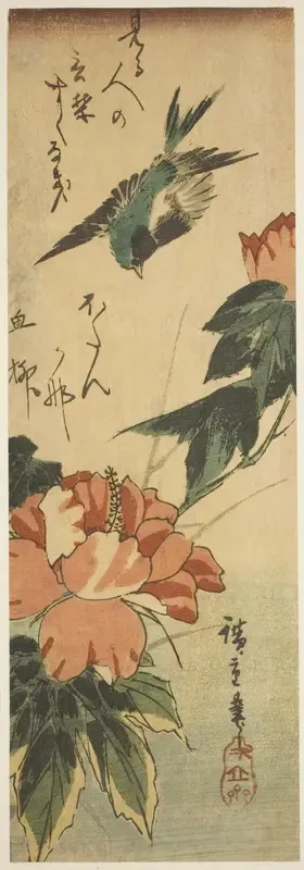 Swallow and hibiscus