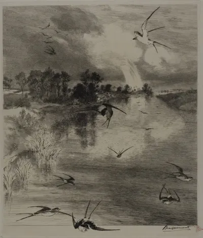 Swallows