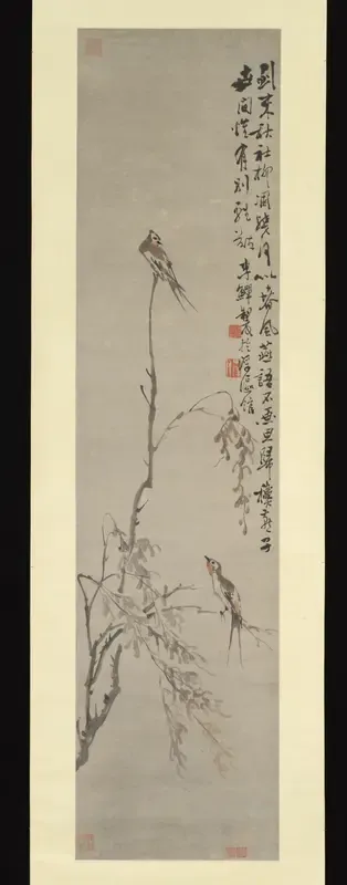 Swallows