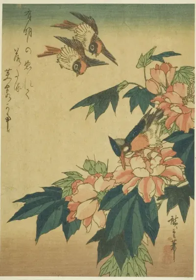 Swallows, kingfisher, and hibiscus