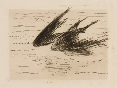 Swallows, plate 8 from Le Fleuve