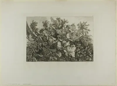 Swamp Plants
