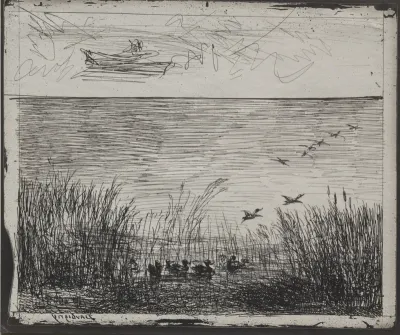 Swamp with Ducks