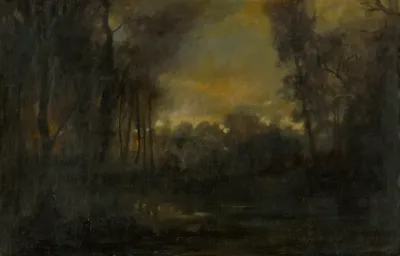 Swampy Landscape