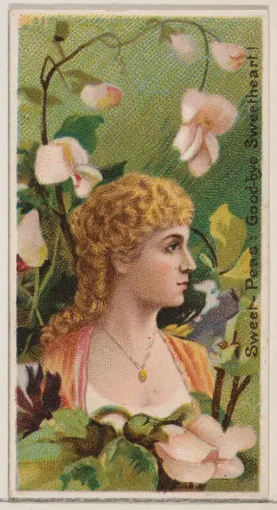 Sweet-Peas: Goodbye Sweetheart!, from the series Floral Beauties and Language of Flowers (N75) for Duke brand cigarettes