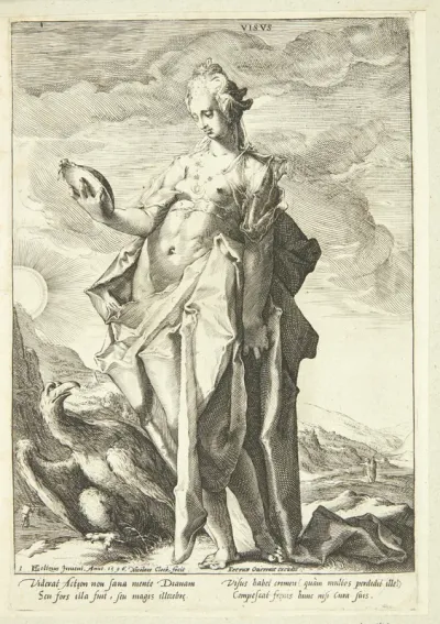 Synet