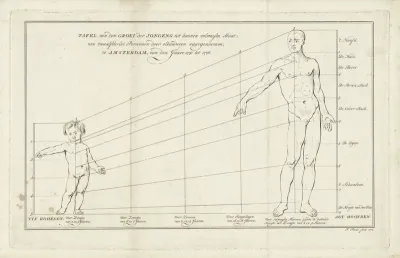 Tabel met proportietekeningen van een kleuter en van een volwassen man