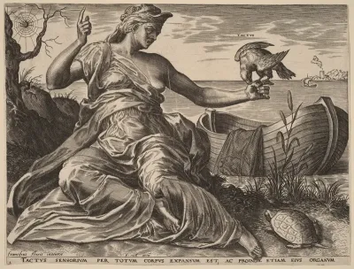 Tactus (Touch)