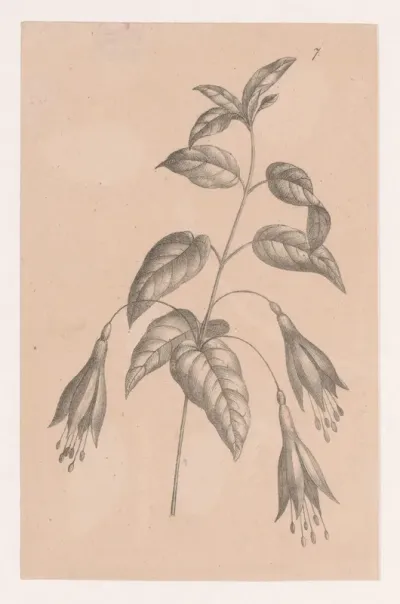 Tak met bloemen