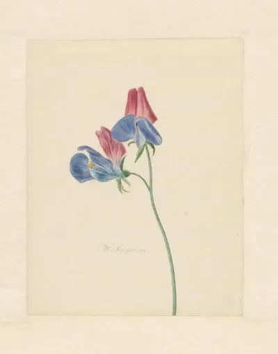 Tak met twee bloemen
