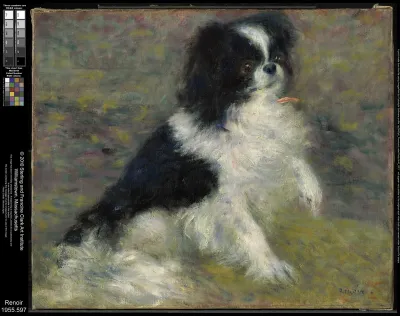 Tama, the Japanese Dog