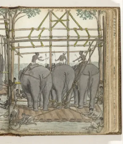 Taming a Wild Elephant in the Temporary Stable, rear view