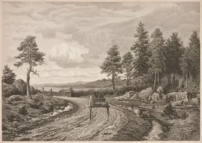 Tampereen maantie 1872, Hj. Munsterhjelmin maalausen mukaan. Kuvitusta teokseen "En resa i Finland" kuva 19