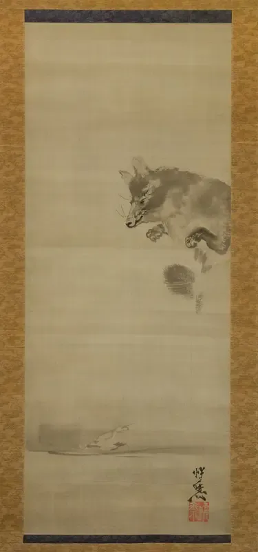 Tanuki (Racoon Dog) Viewing Its Reflection in Water