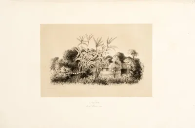 Tapará den 30' November 1842