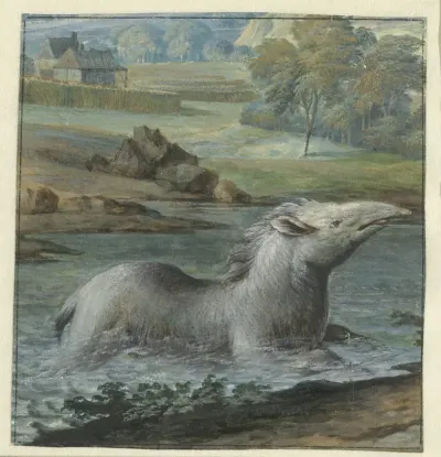 Tapir in het water